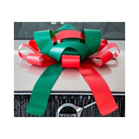 Car Dealer Depot Jumbo Car Bows: Red/Green 531-RE-1